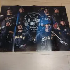 阪神タイガースB-LUCK DYNAMITE SERIES ポスター
