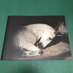 Item thumbnail for item 09d8dd3d-56c1-46ed-b58a-c3c42abb75a7