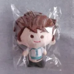 ハイキュー　kinokos mini　キノコスミニ　及川徹