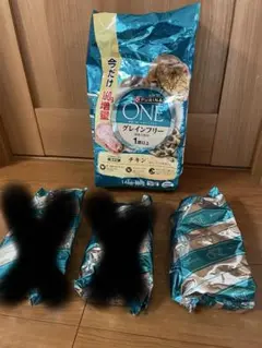 Item thumbnail for item 22125846-e0db-4f84-b883-79565abde2a7