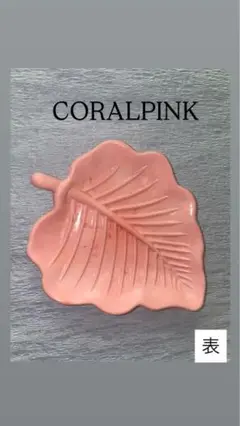 CORALPINK 葉っぱ型石膏トレイ