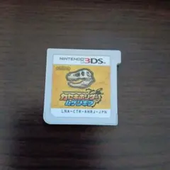 カセキホリダー　ムゲンギア