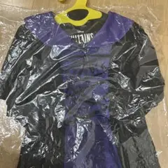 Item thumbnail for item 4a3b414b-7432-41b9-a9b0-e5cbc9509f4d