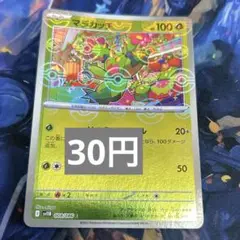 モンボミラー　マラカッチ