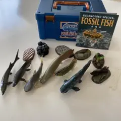 絶滅危惧種フィギュアセット 10体