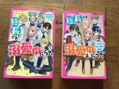 総長さま、溺愛中につき。1・2巻セット