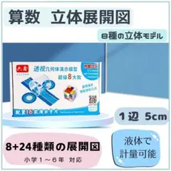 算数　立体展開模型　小学校受験・中学校受験　知育玩具　STEA教育　夏休み