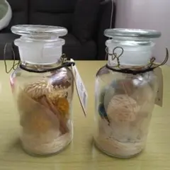 アロマとライトのボトル ベルガモットティー