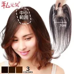 Item thumbnail for item d1440dd2-98bf-495c-9c43-c33f1fb4fa1f
