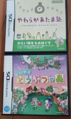 Dsソフト2本セット