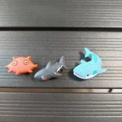 魚類×3