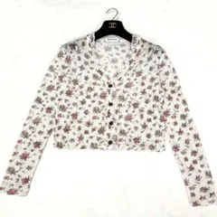 Item thumbnail for item 343b61b3-166f-404b-8aa6-065eb67c3398