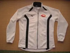 Item thumbnail for item 07905c34-1535-443d-acfe-bf49d9faddc6