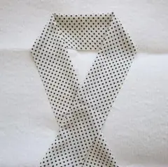 Item thumbnail for item e4f05d5a-3d03-458f-ac5a-5b0cfaf08dee