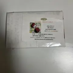 てんとう虫のマカロンケースキット