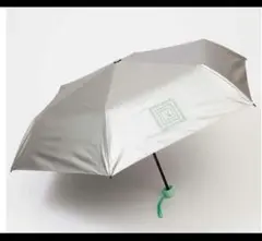 Item thumbnail for item b3ac4990-bd4c-4525-84ae-73c463cc91b4