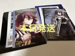 無限城編第3弾 ランダムフォトカードA.B 伊黒小芭内