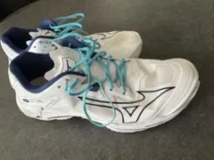 Item thumbnail for item 5c5c8bc1-e3b9-467d-8f0e-363cc99d75a7