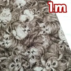 ねこちゃんだらけ・・綿麻1m