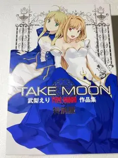 TAKE MOON 武梨えり TYPE-MOON作品集 特別版