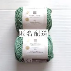 【匿名配送】 NEWエンジェルコットン あさみどり 緑 2011 2玉セット