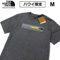 Item thumbnail for item 5554c8f4-93f6-4ea1-af6a-278c81185543