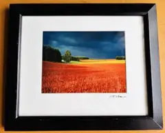 Item thumbnail for item a1cfdaf8-8002-4157-a8f0-dccd78e4363b
