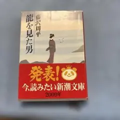 龍を見た男 藤沢周平 新潮文庫