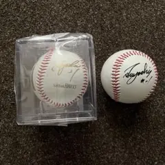 美品✨福岡ダイエー・ソフトバンクホークス　優勝記念サイン寄せ書きボール5点 美品✨福岡ダイエー・ソフトバンクホークス 優勝記念サイン