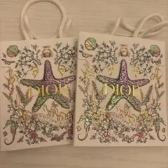 DIOR ホリデー　ショッパー