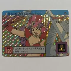 ドラゴンクエスト カードダス バンダイ 裏ロトシリーズ 女戦士 86
