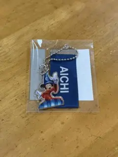 Disney FLAGSHIP TOKYO Japan Tour愛知キーホルダー