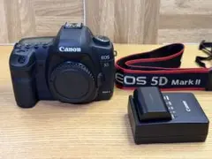 Item thumbnail for item 279fb339-61c2-4896-a994-615e2ab53c79