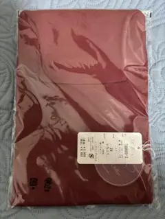 Item thumbnail for item 7394c3ad-a987-488c-a563-a33dba50dbd7