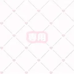 専用