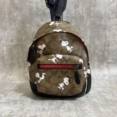2025年最新】COACH×PEANUTSリュックの人気アイテム - メルカリ