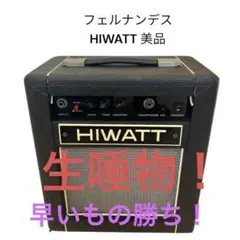 2025年最新】hiwatt customの人気アイテム - メルカリ