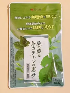 和漢の森 桑の葉 茶カテキン 120粒 国産お腹の脂肪を減らす 内臓脂肪