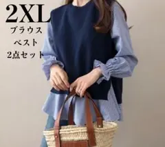 新品 春 2点セット ニット ブラウス レディース 長袖 ベスト シャツ ジレ