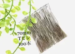 Item thumbnail for item d71a0fda-5312-456e-8e89-b3f34f55560e