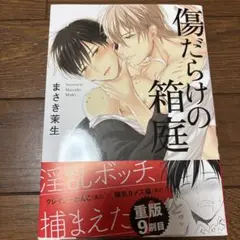 傷だらけの箱庭　まさき茉生