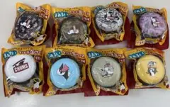 【チャムス】マルチ缶ケース　８個セット