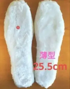 Item thumbnail for item ea10c0f2-07e7-449f-988c-16e9d228ae88