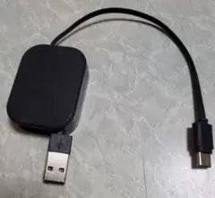 ①新品USBアダプタータイプC黒 ②旧ACアダプタータイプBベージュ