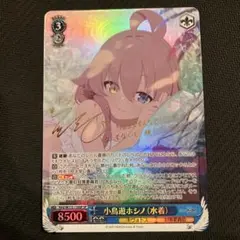 【WS】小鳥遊ホシノ(水着)　SP ウィクロス WX25-CD1-02 小鳥遊ホシノ(水着)[浜辺の楽しさ] (ST