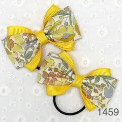 Item thumbnail for item 17c37feb-3ae4-4110-991b-7f232420fa52