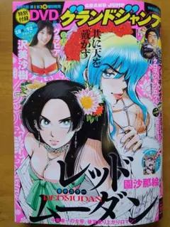 最新 グランドジャンプ No.18 付録 沢美沙樹 DVD有 応募はがき無
