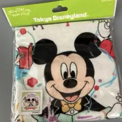 東京ディズニーランド ミッキー タオル