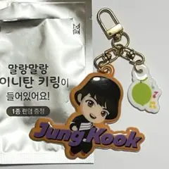 BTS FESTA フェスタ コンブチャ tiny tan JUNGKOOK