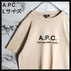【即完売モデル】A.P.C.アーペーセー☆センター刺繍ロゴ Tシャツ 入手困難
